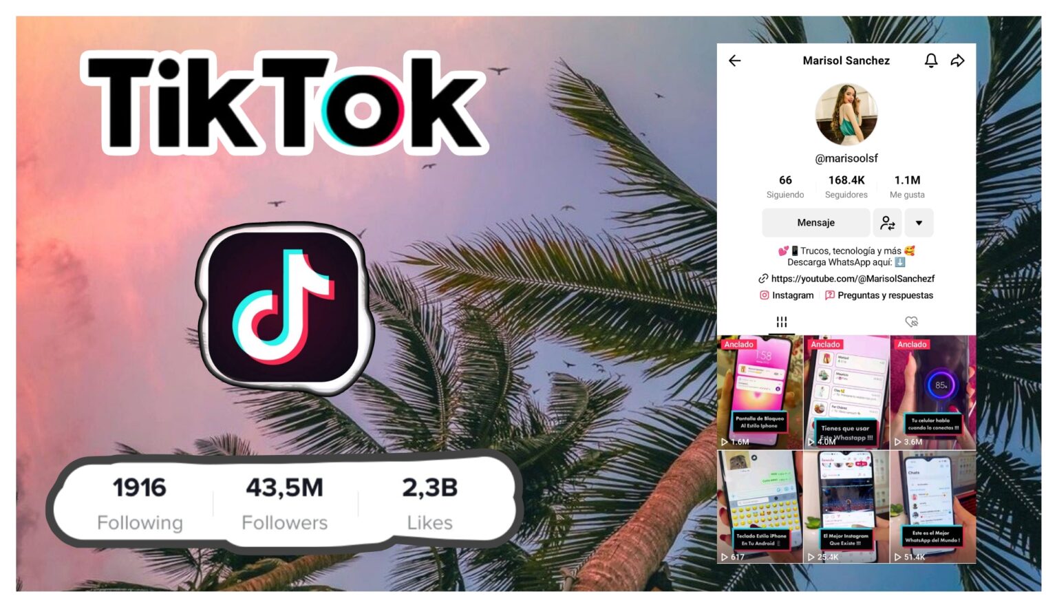 Tik Tok muchos seguidores descargar aplicación